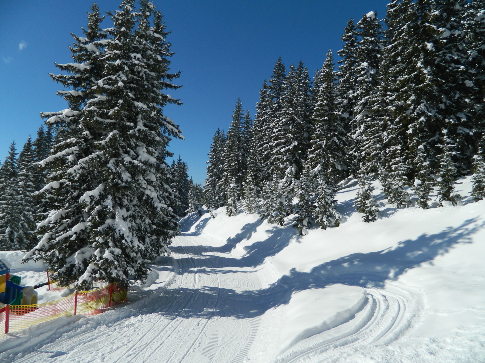 DSCN2015.JPG