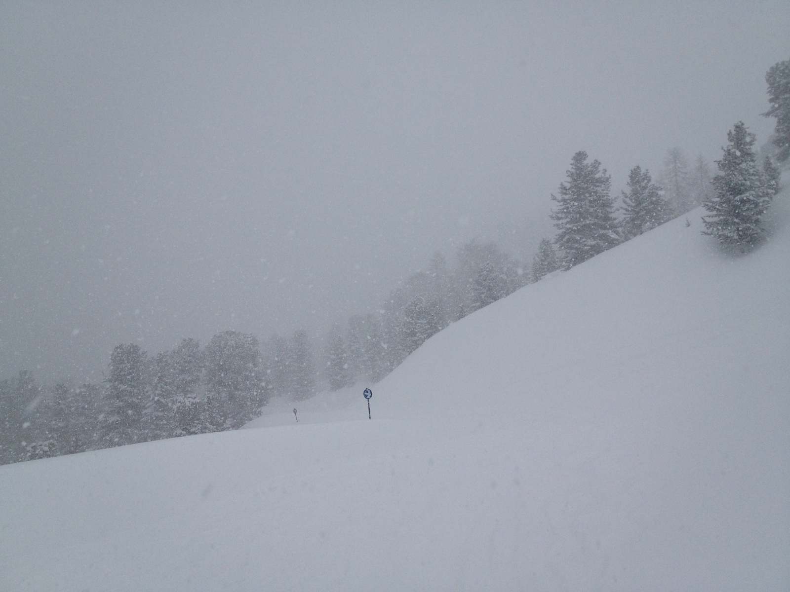 IMG-0717.JPG