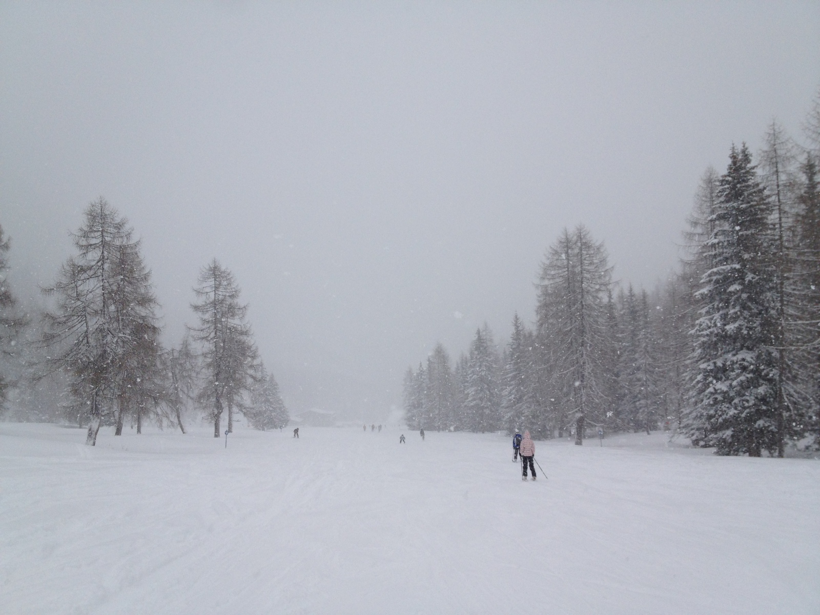 IMG-0720.JPG