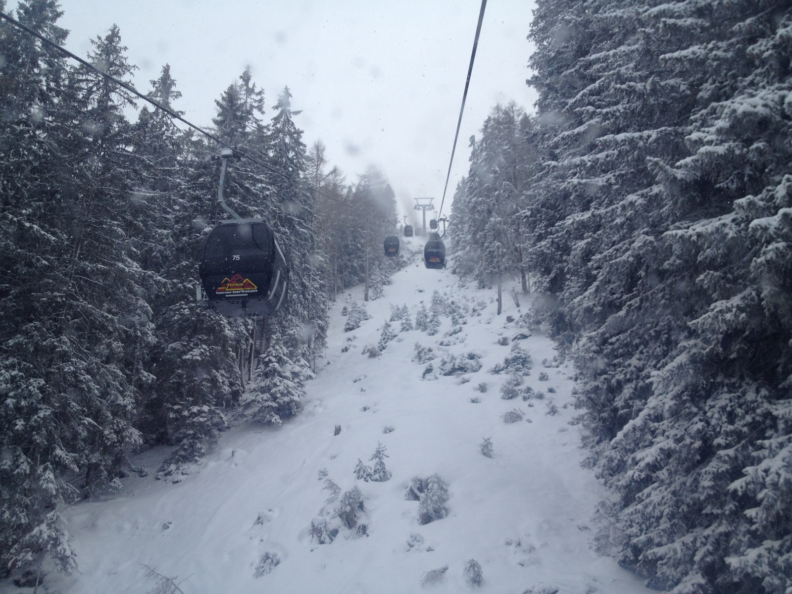 IMG-0726.JPG