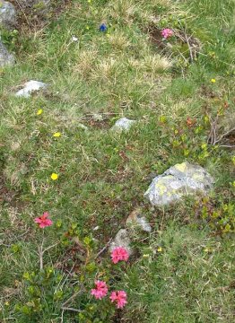 ...színesebbnél szinesebb...