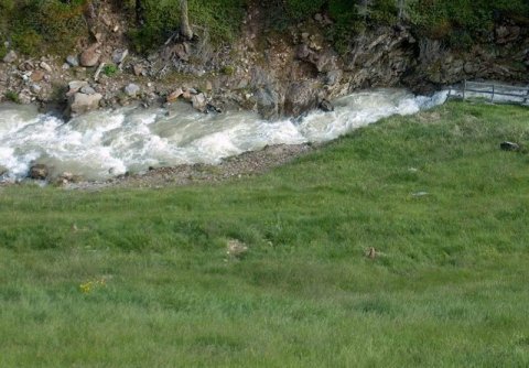 ...a zúgó patak...