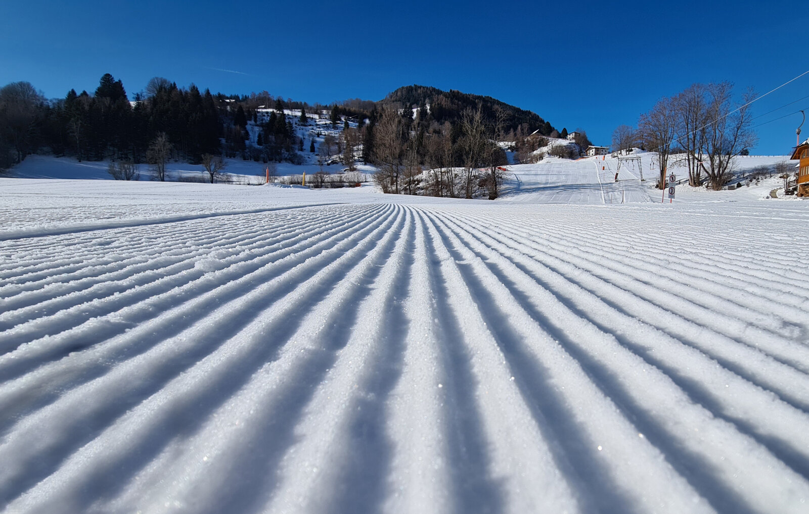 Schöder | Fotó: Mario Lercher