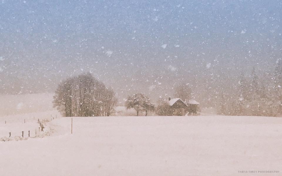 Schwoich, Tirol, Ausztria 2017. hóvihar