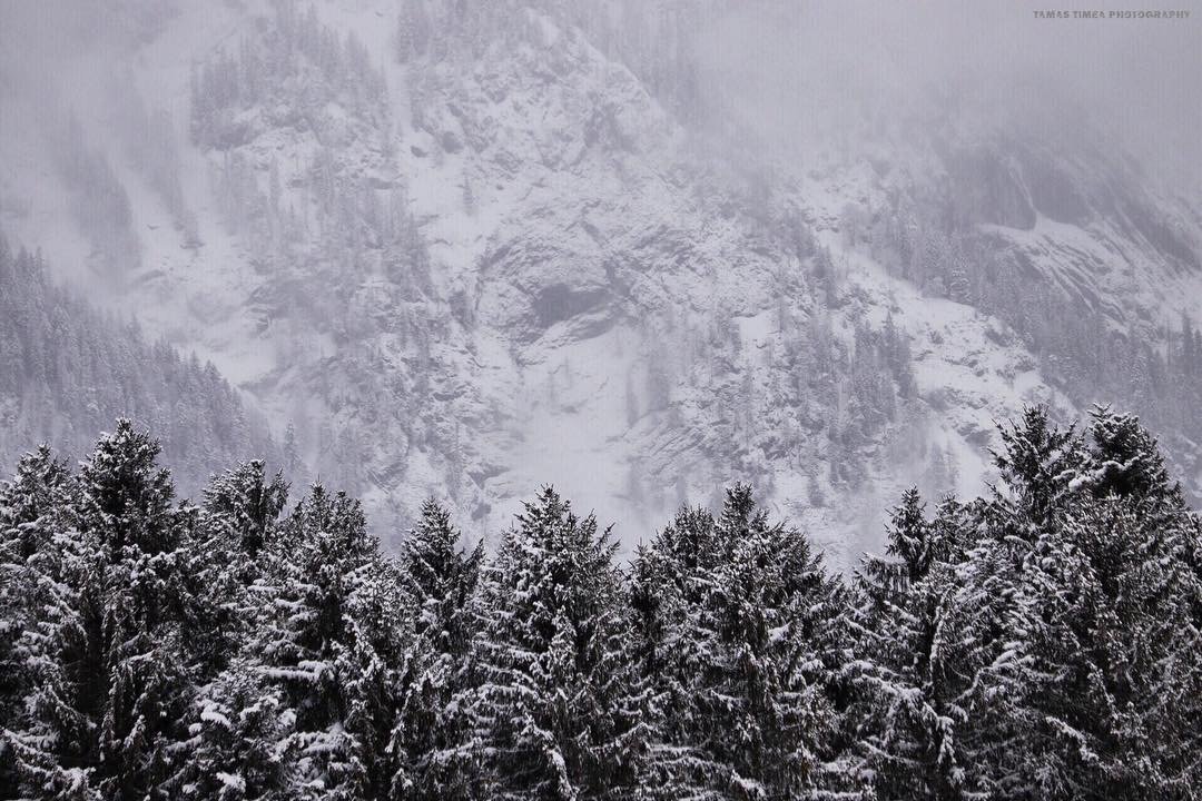 Tél az ablakból,Schwoich