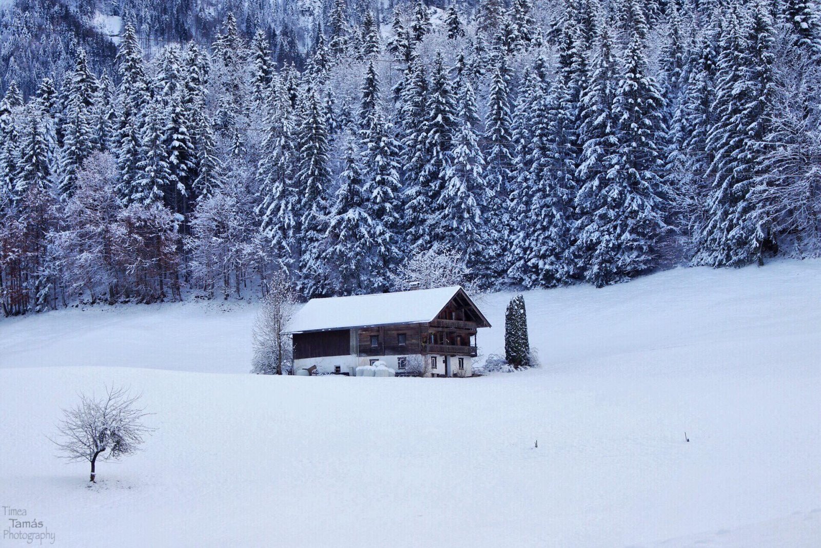 Schwoich,Tirol,Ausztria,Tiroli idill