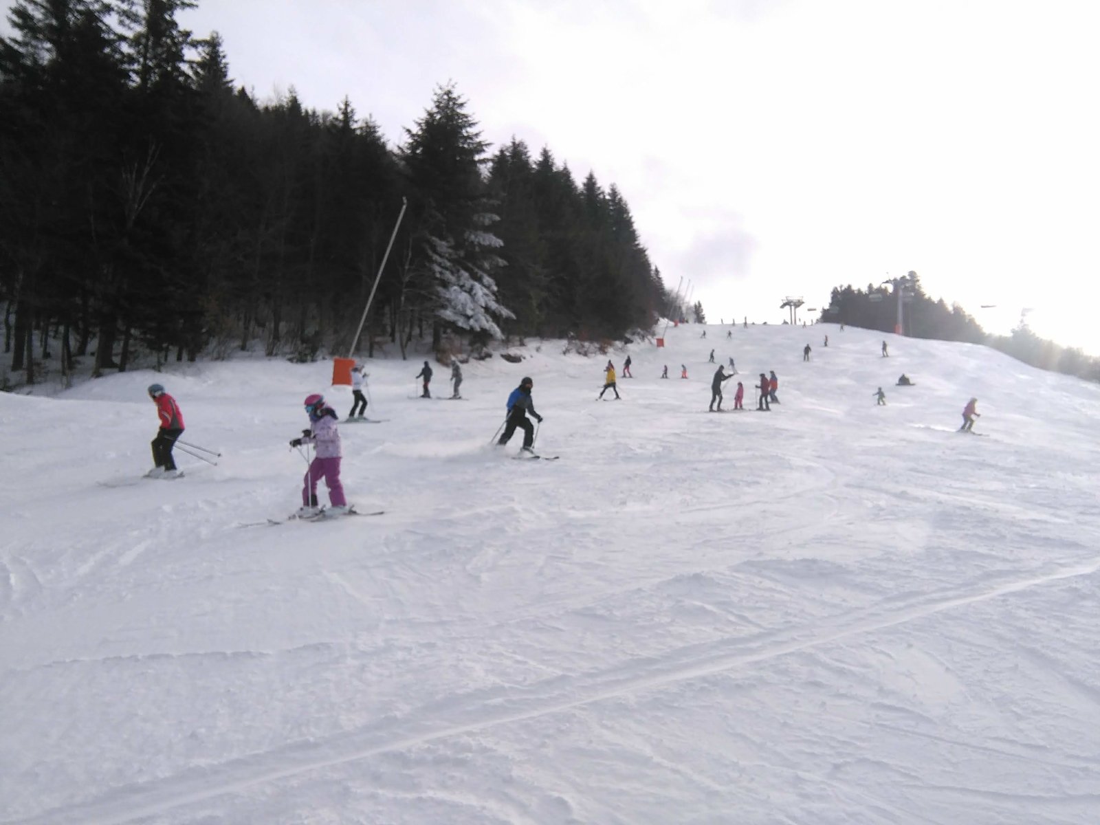 IMG-20190119-111011.jpg