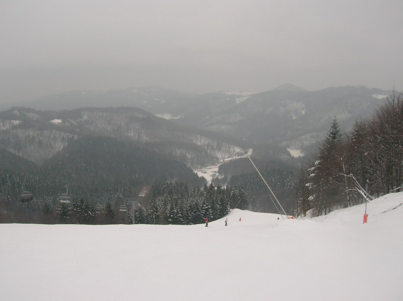 2010-02-17-010.jpg-10.jpg