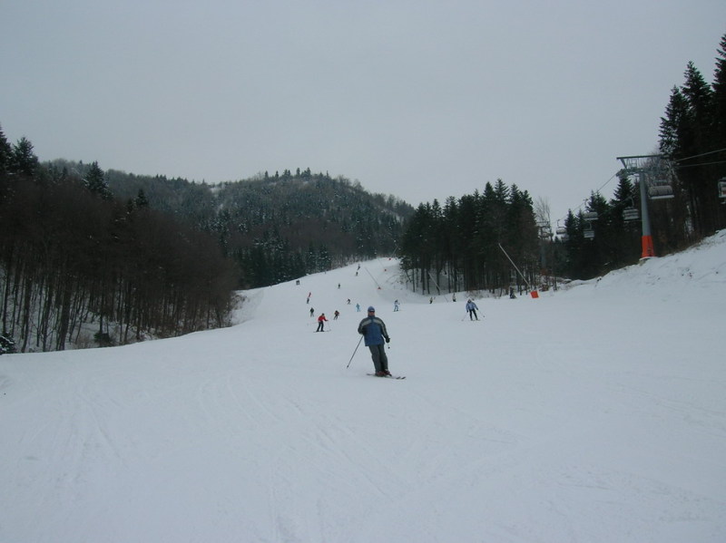 2010-02-17-017.jpg-17.jpg