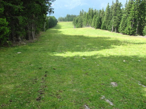 025-2016.07.26-Semmering-Stuhleck-1174.JPG