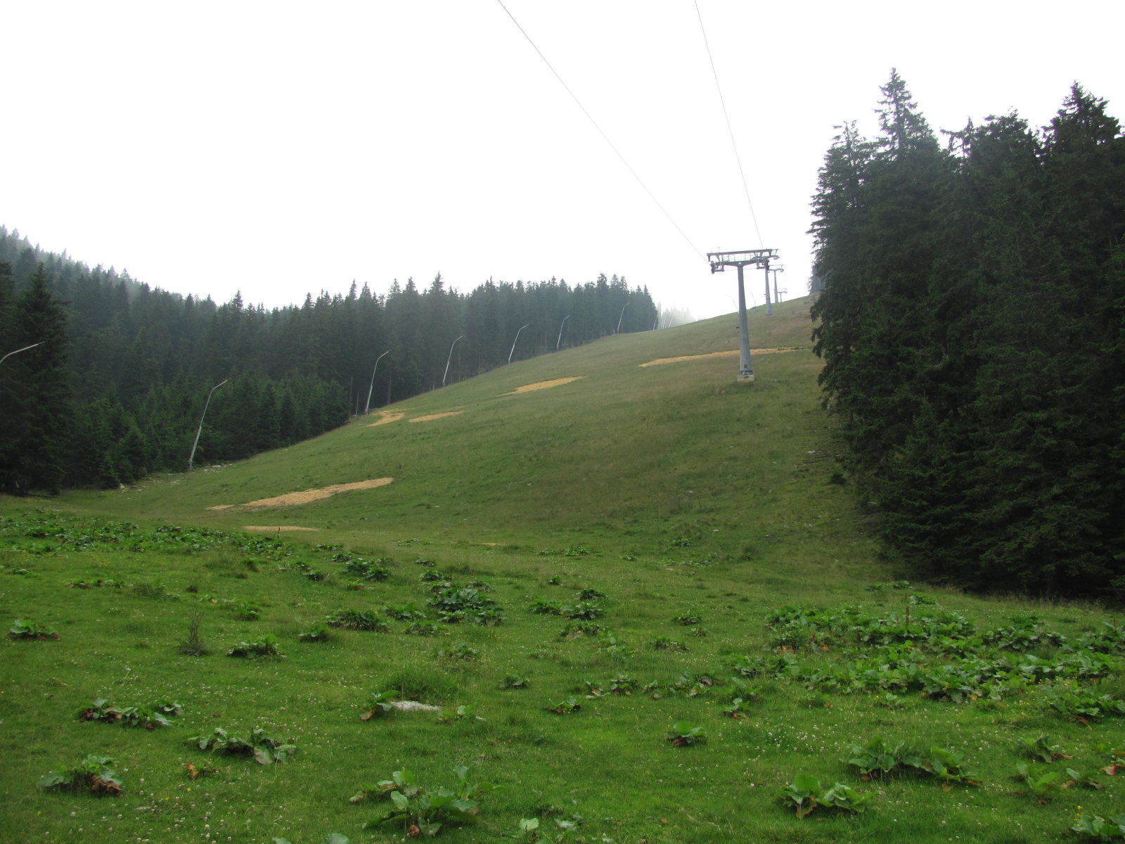 003-2016.07.26-Semmering-Stuhleck-1088.JPG
