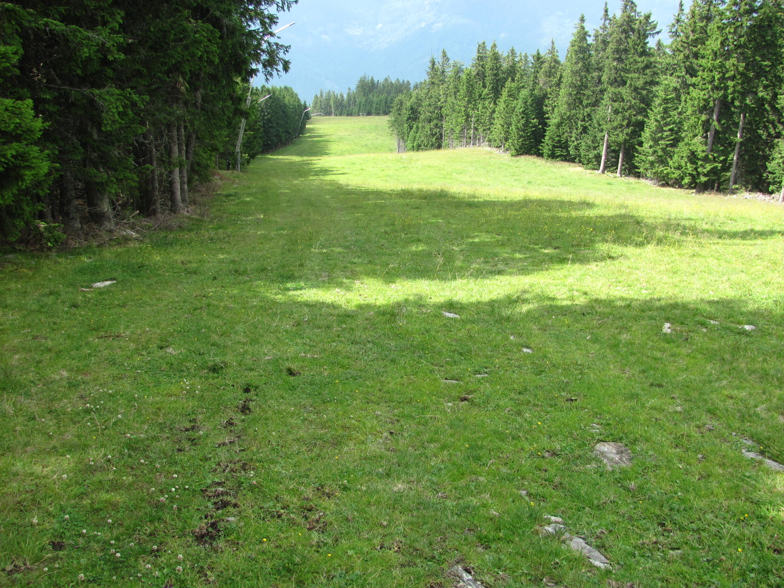 025-2016.07.26-Semmering-Stuhleck-1174.JPG