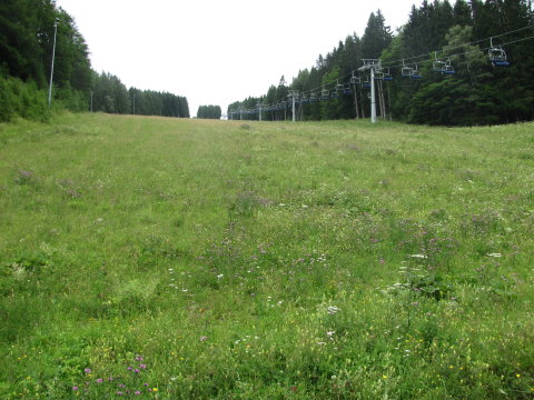 2016.07.25-Semmering-Zauberg-0937-p5-alja.JPG