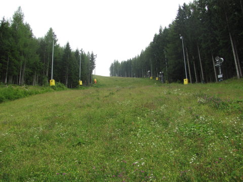 2016.07.25-Semmering-Zauberg-1033-palya.JPG