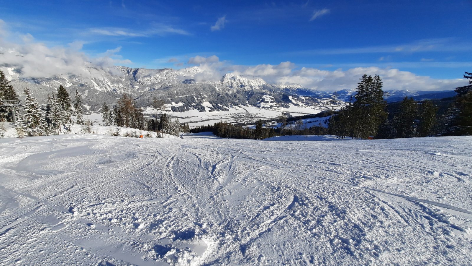 20210127-103549.jpg