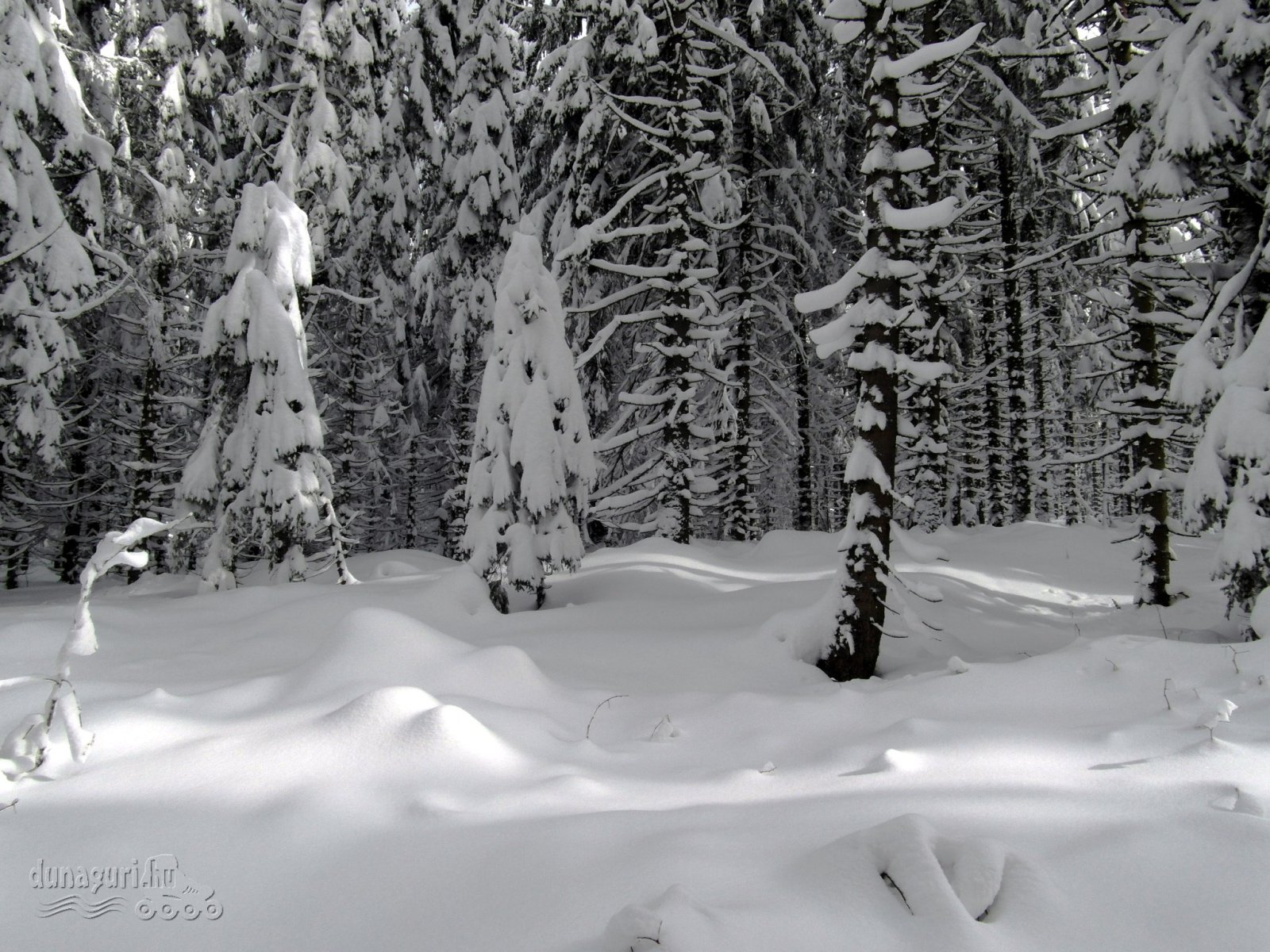 Donovaly16-0107.jpg