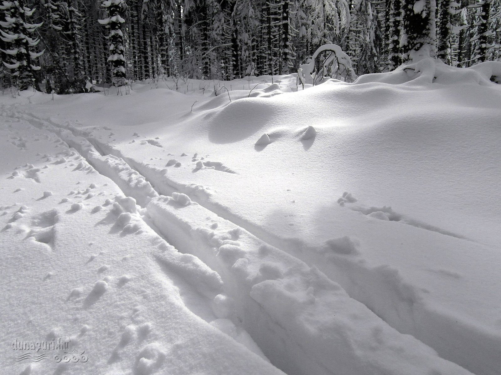 Donovaly16-0140.jpg