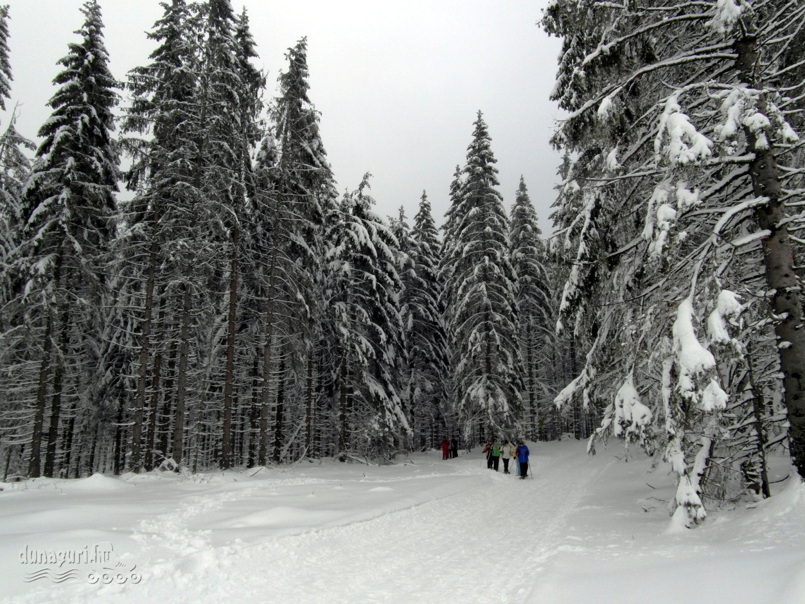 Donovaly16-0207.jpg