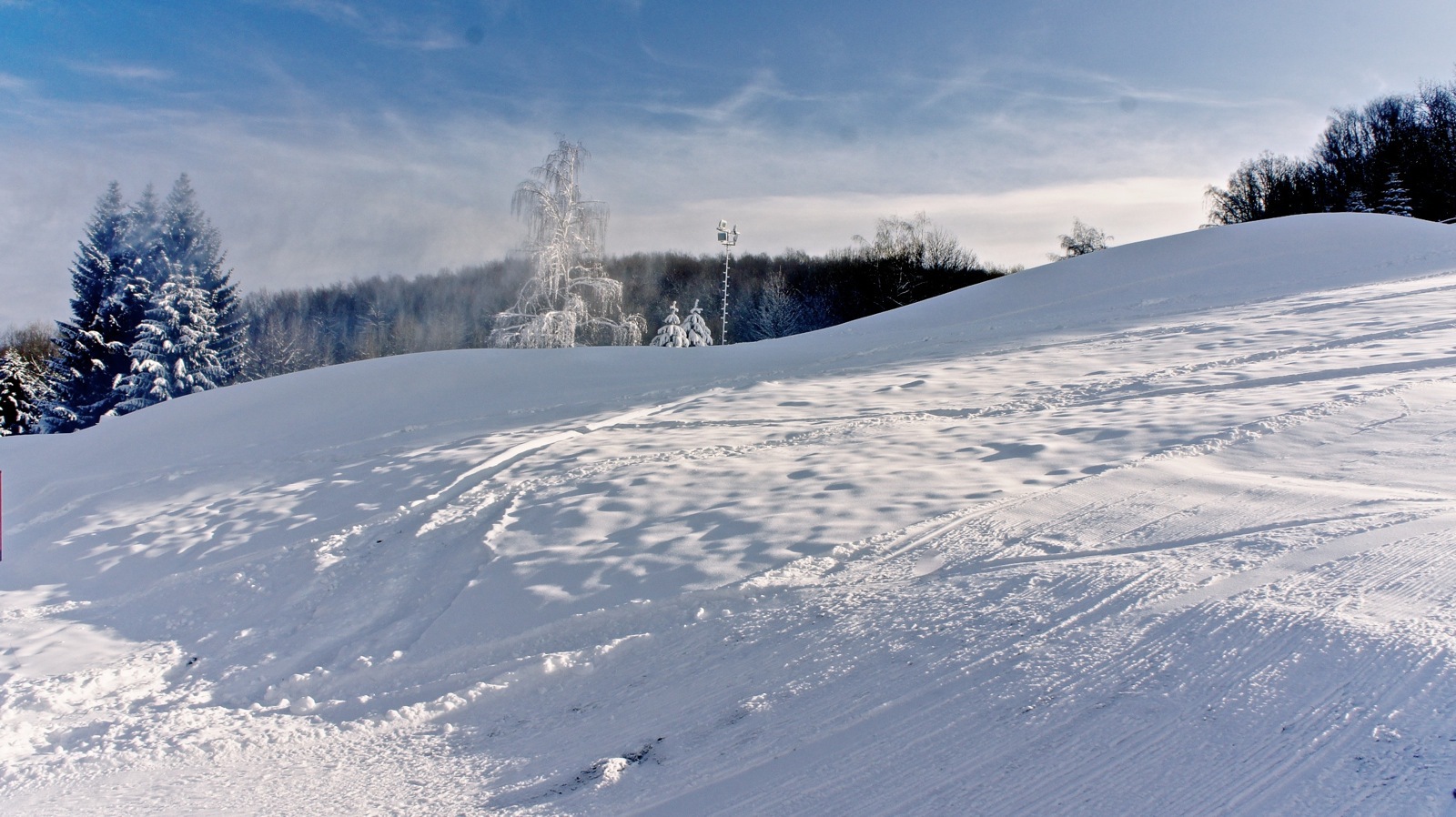 sipark-2014jan27-13.jpg