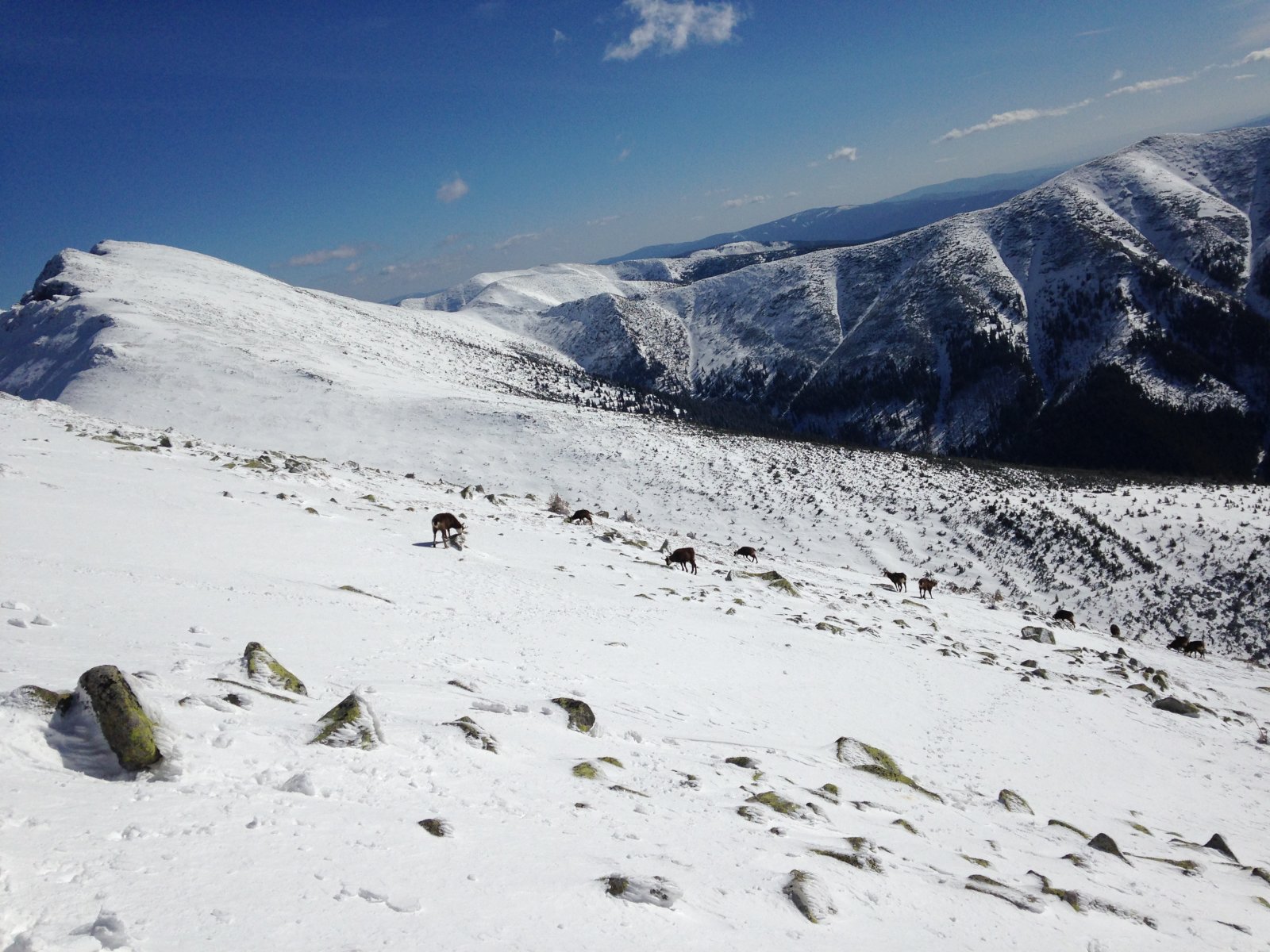 Körülöttünk 21 darab zerge