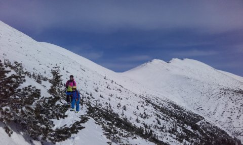Hátul a Gyömbér csúcsa
