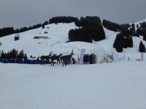 "Alpeniglu" avagy a rénszarvasok hazája