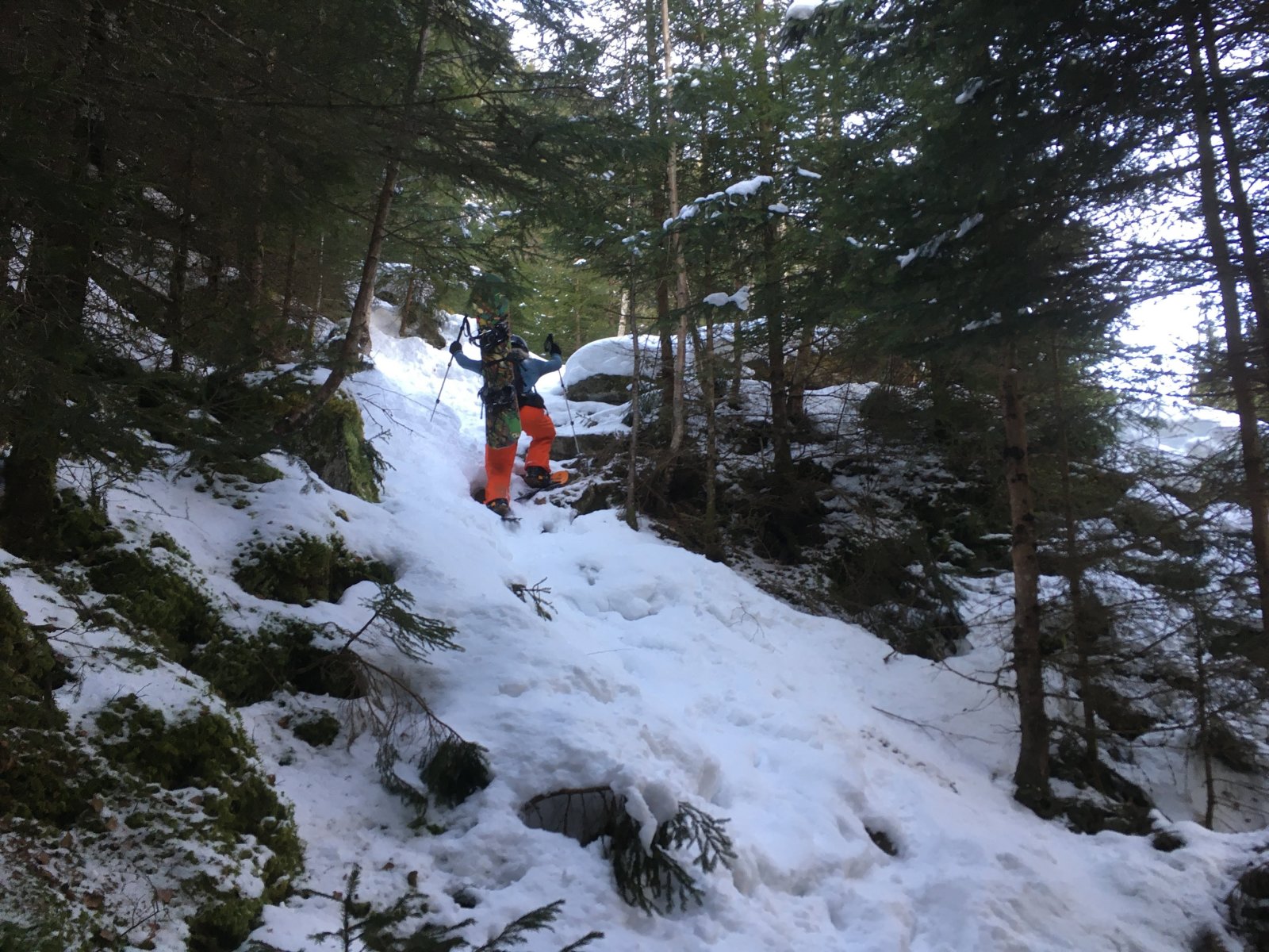 Az ösvény (fotó: Hangya Roland)