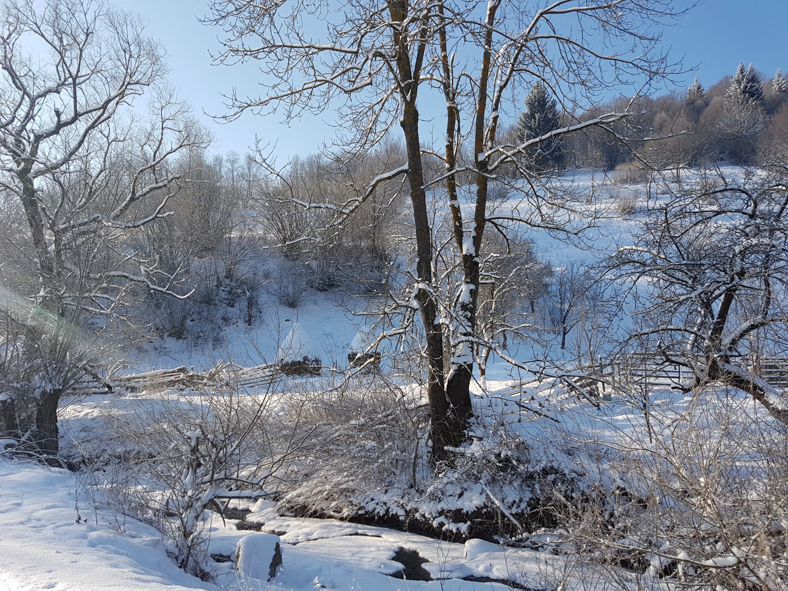 A faluból indultunk el