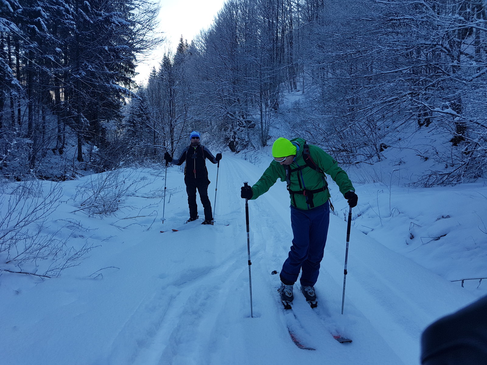 Egy hosszú út vezet végig a völgyben a patak mellett