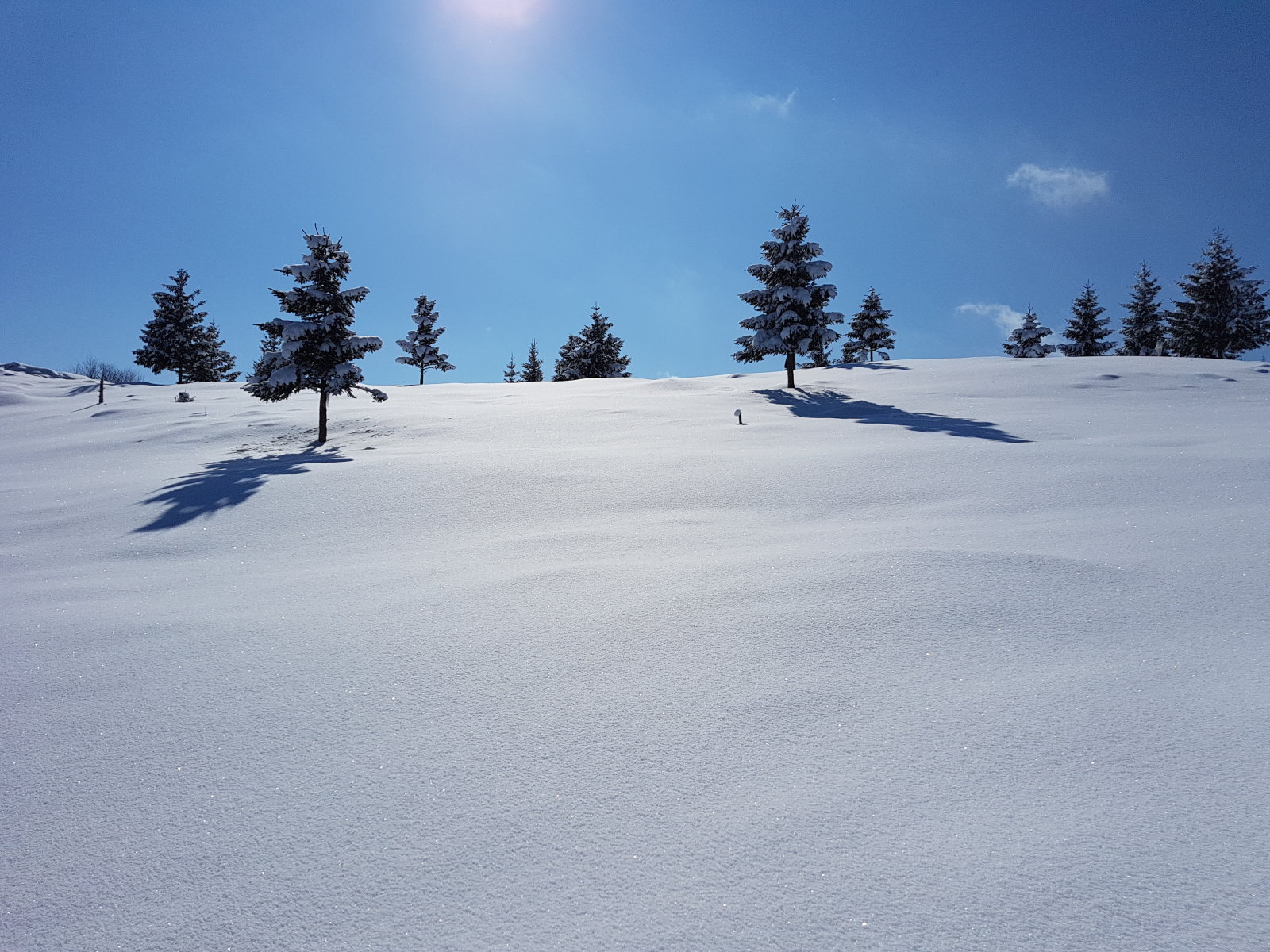 Ezután legelők következtek egy lankás gerincen