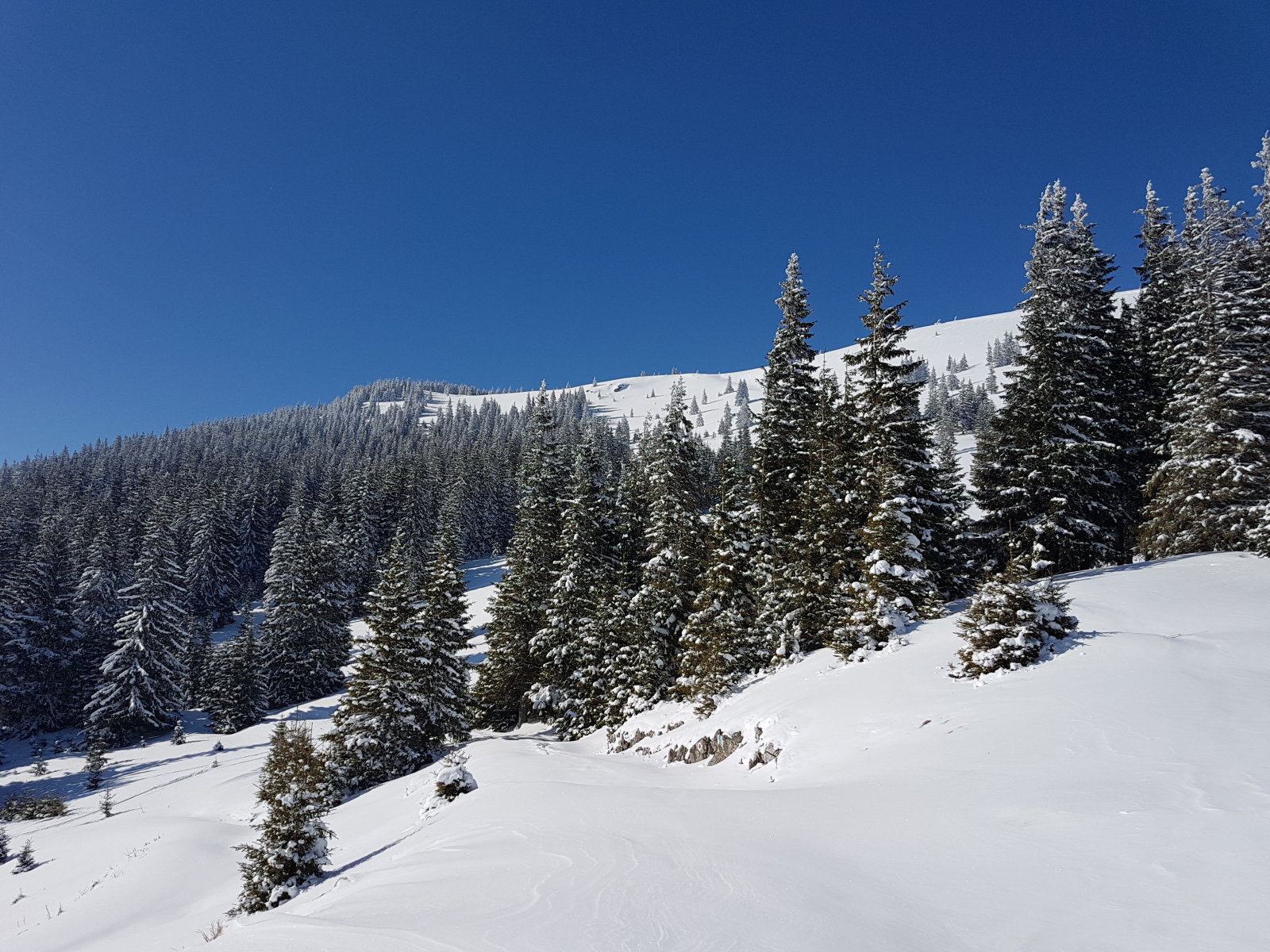 Innen jobbra van a csúcs.