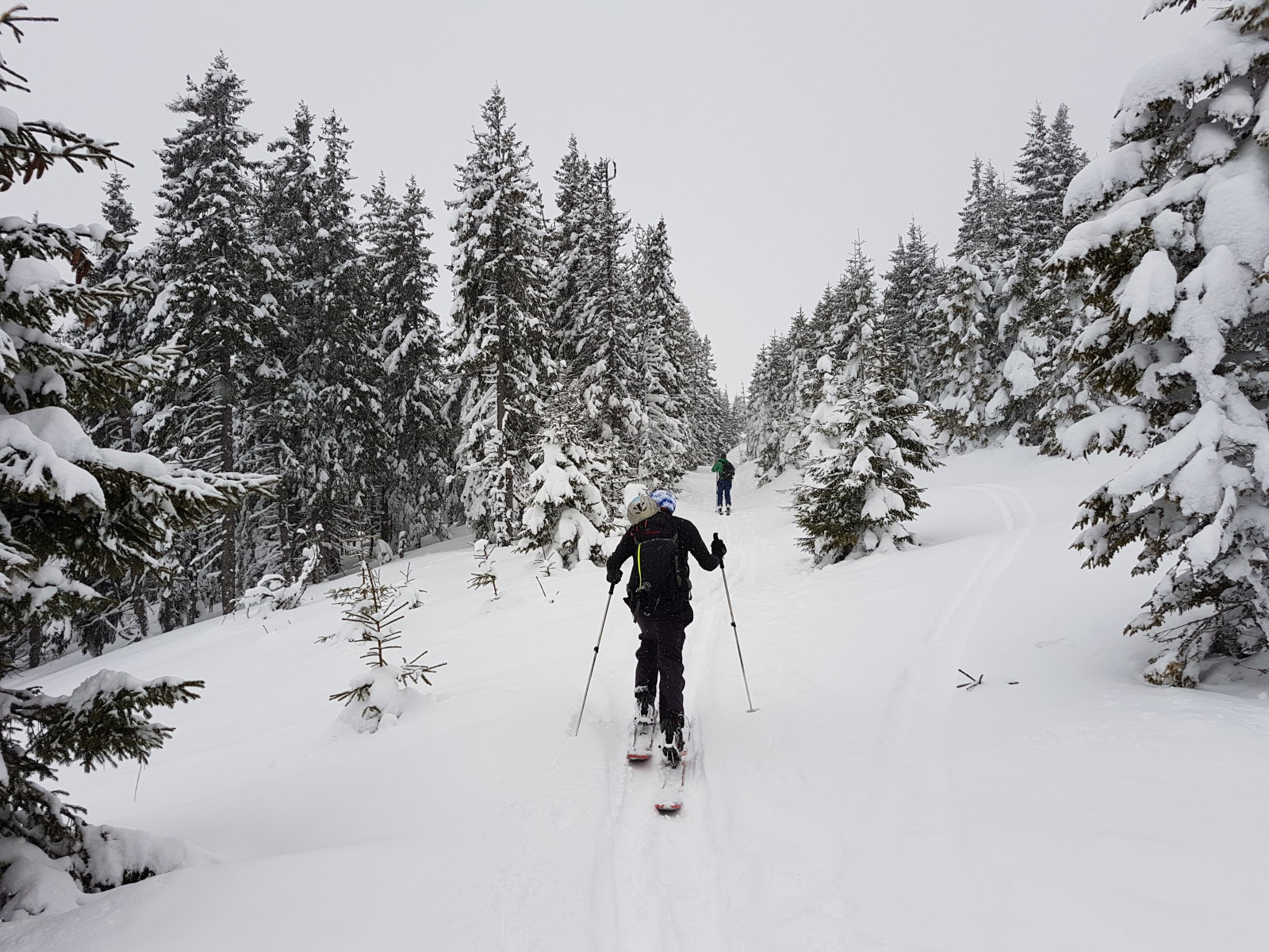 A felvonót keresztezve egy kellemes erdei ösvényen haladtunk felfelé