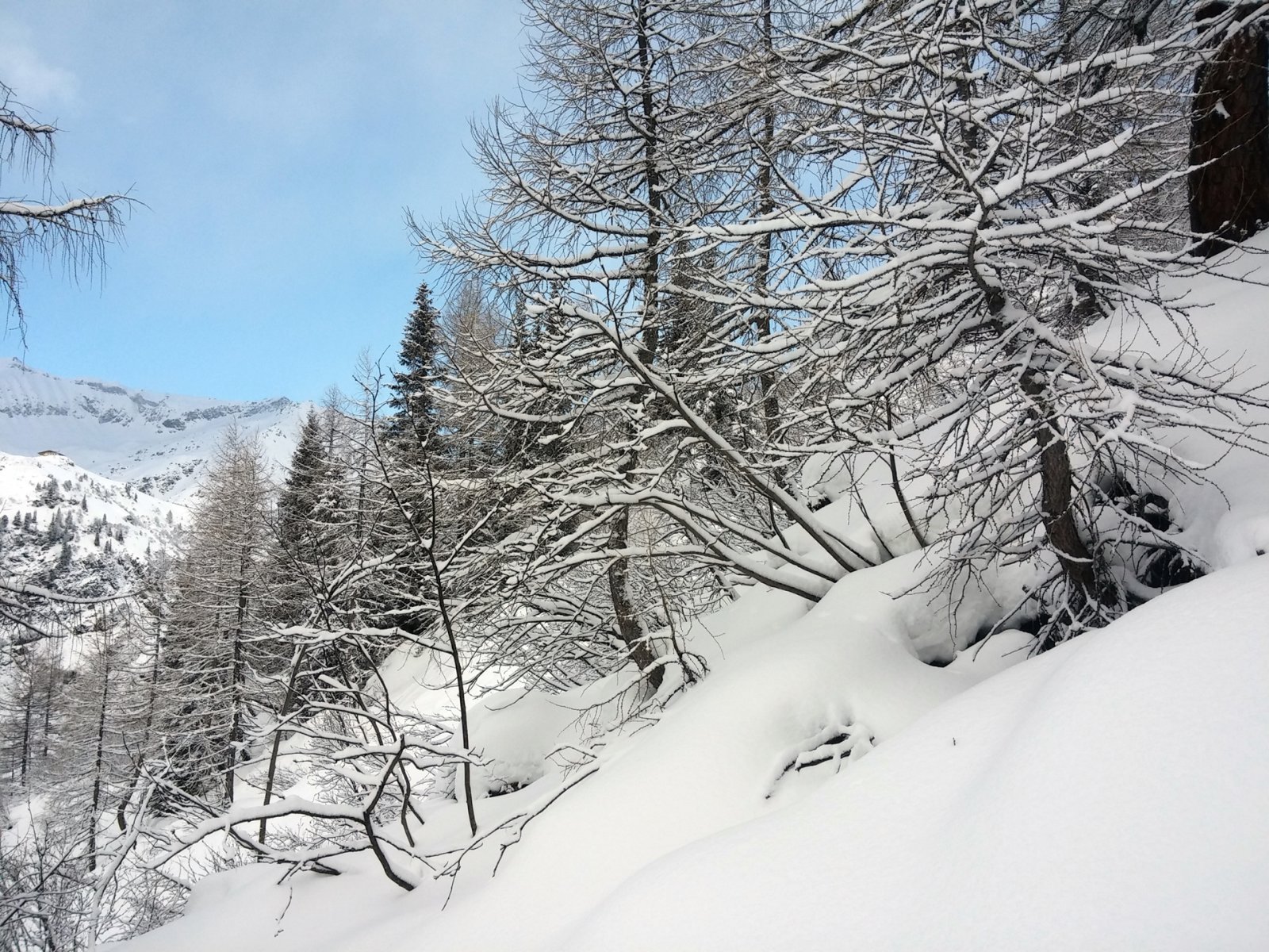 A nyugati oldal fergeteges csúszásai közben nem készült kép. Ez már az alsó erdő, ami egyre jobb lesz.