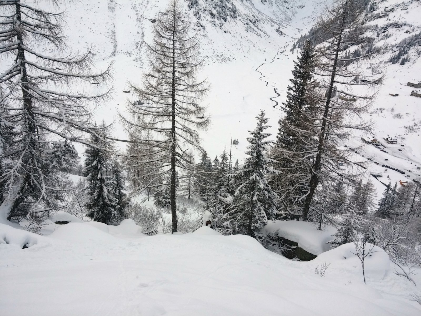 Már egyre könnyebb megtalálni a bokrok közötti rést.