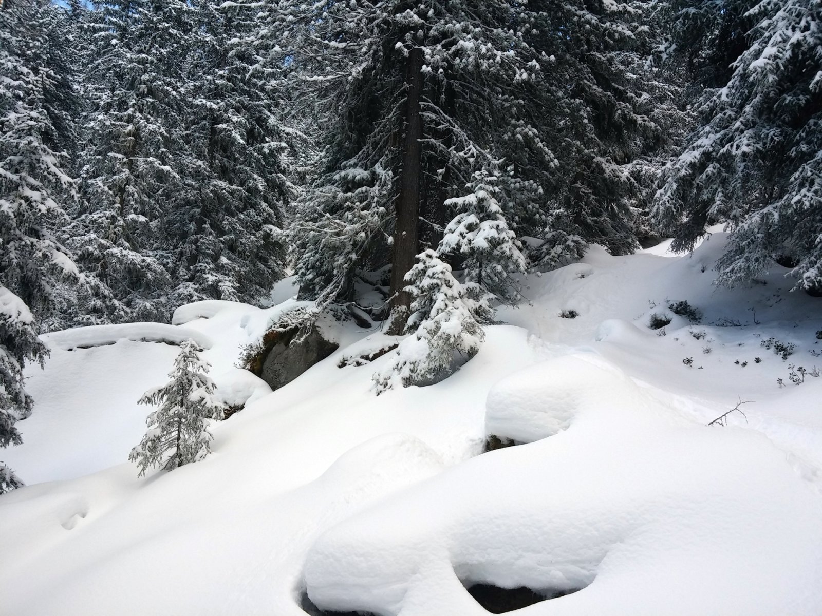 Kellene még legalább fél méter hó.
