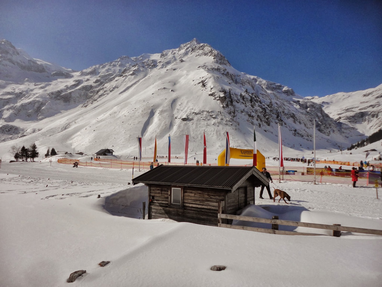 Éppen szűnhúzó kutyák versenye volt Sportgasteinben - tele a völgy szebbnél szebb kutyusokkal.