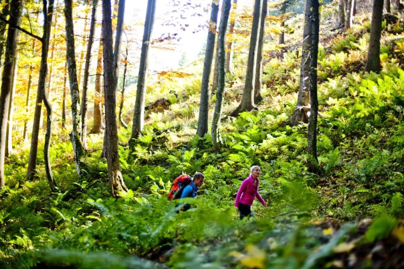 © Steiermark Tourismus / ikarus.cc - Kattints a képre a nagyításhoz