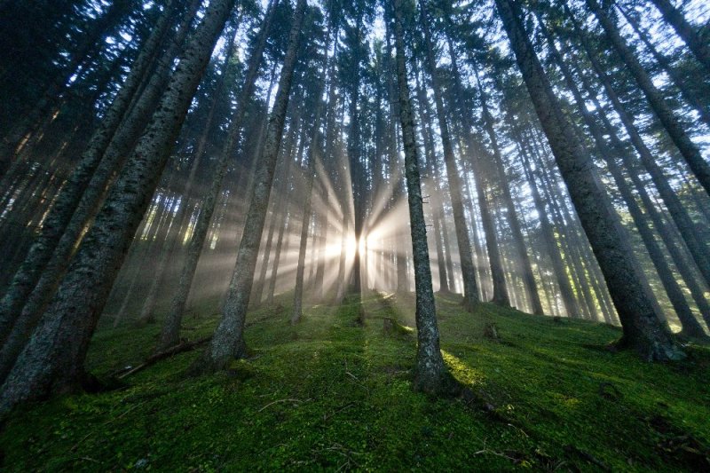 © Steiermark Tourismus / ikarus.cc - Kattints a képre a nagyításhoz