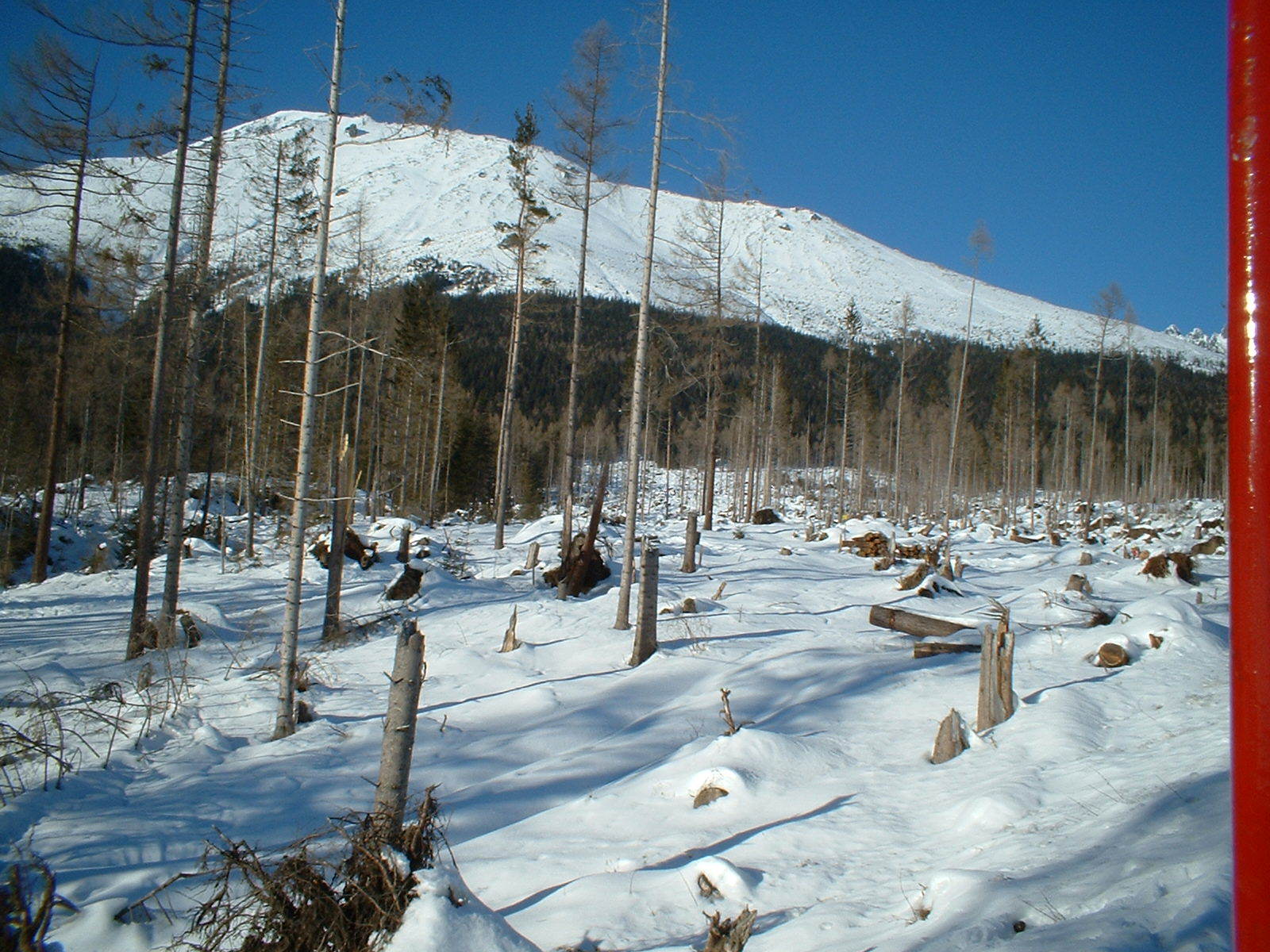 DSCF0080.JPG