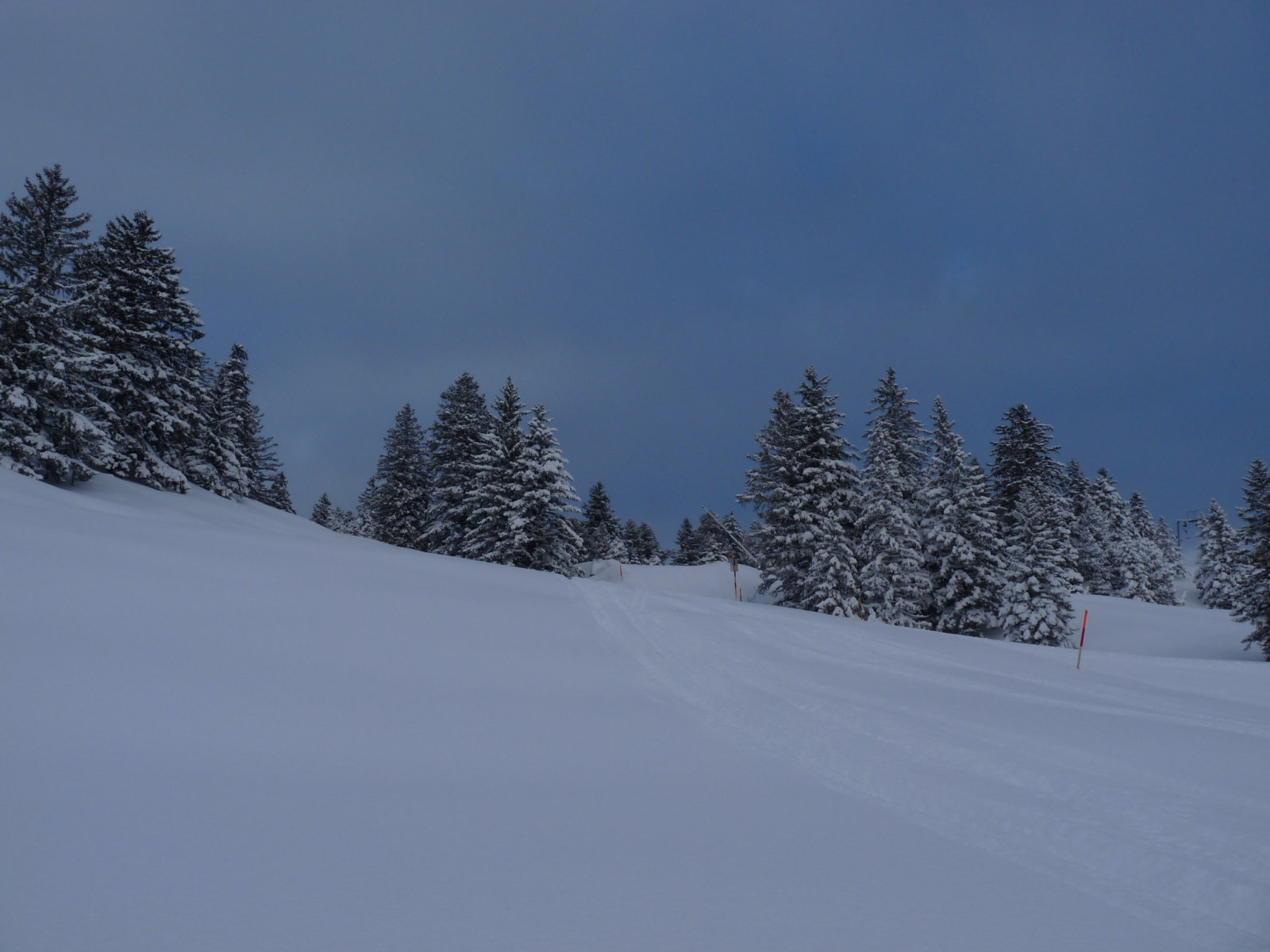 a behavazott erdőket nagyon szeretem