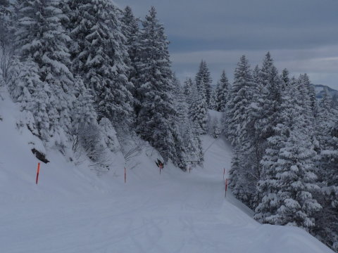 a fenyőfák mind havasak voltak