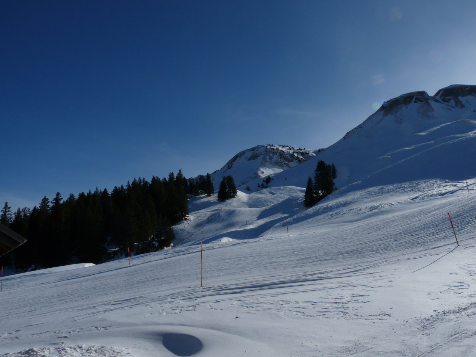 P1360734.JPG