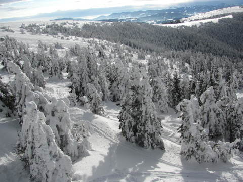 2013.01.20-Semmering-Stuhleck-IMG-8511.JPG