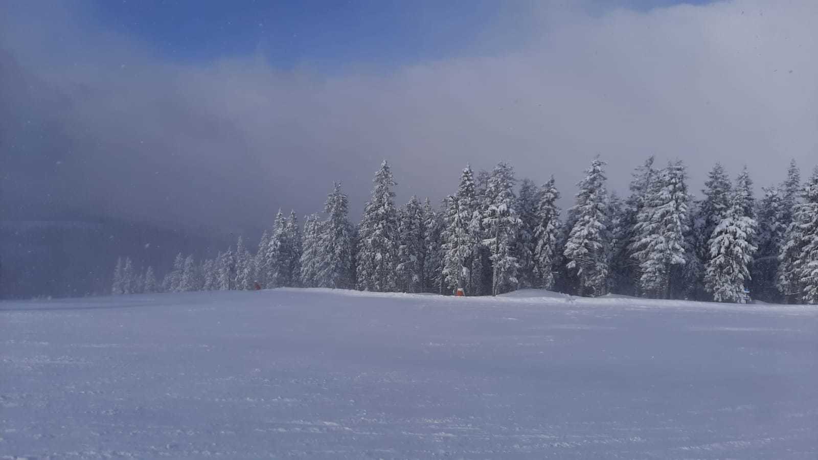 Stuhleck Piste 3