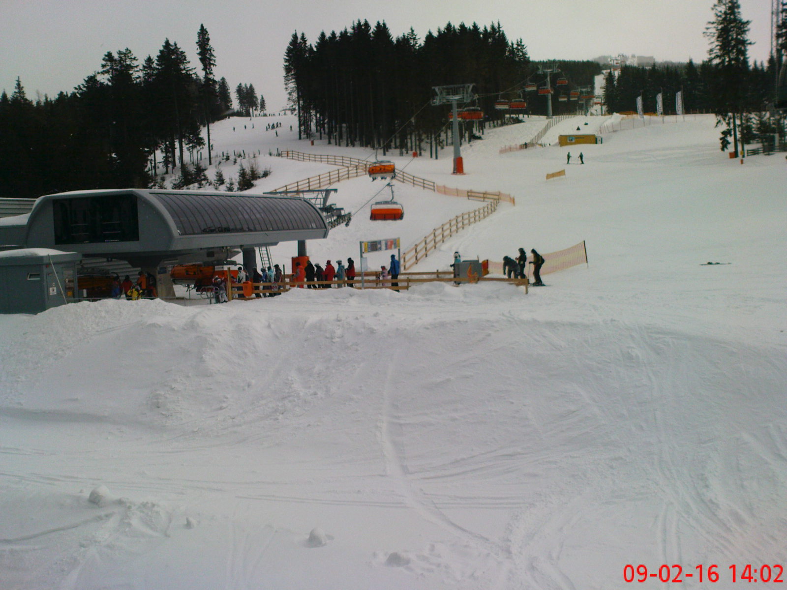 DSC00155.jpg