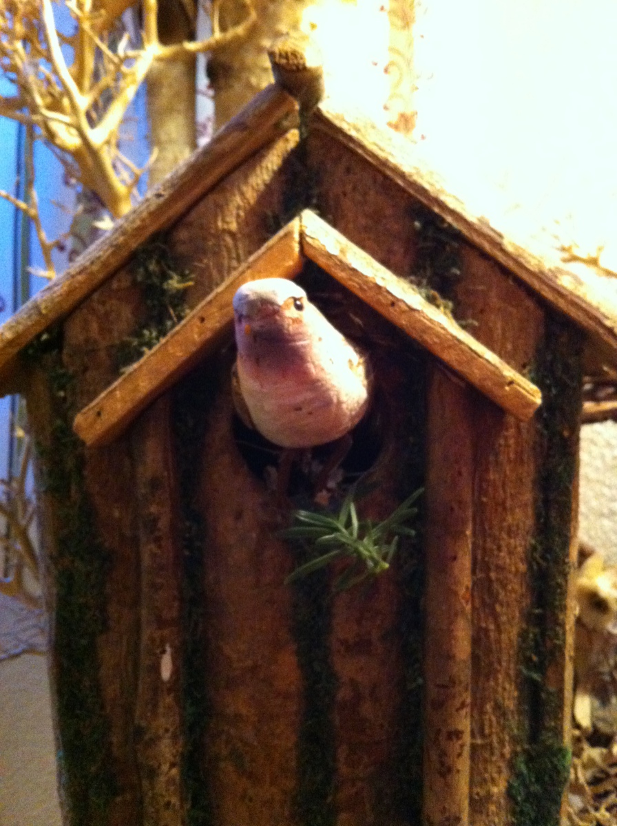 kedvenceim sorozat: 2. a madár