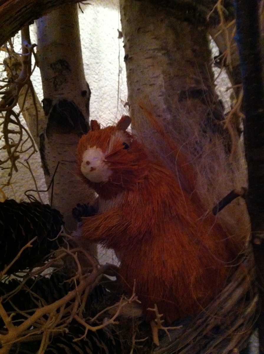 kedvenceim sorozat: 3. a mókus