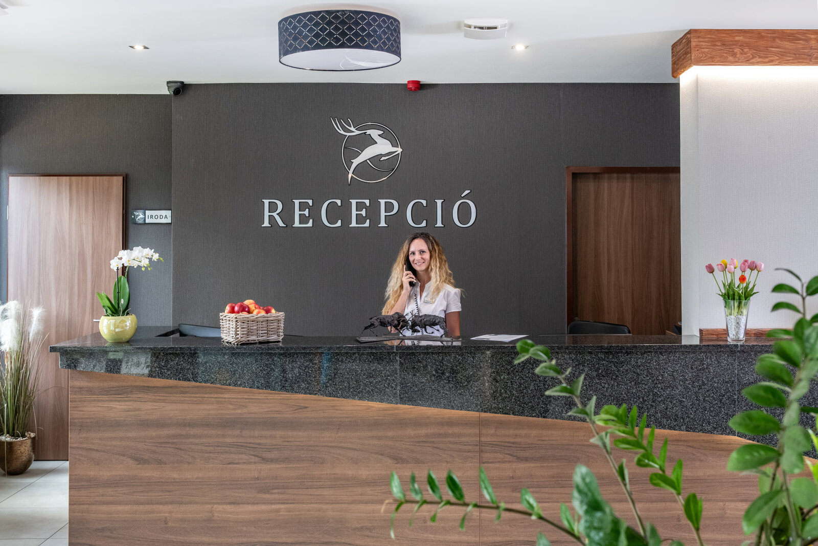 hotel-szarvaskut-recepcio.jpg