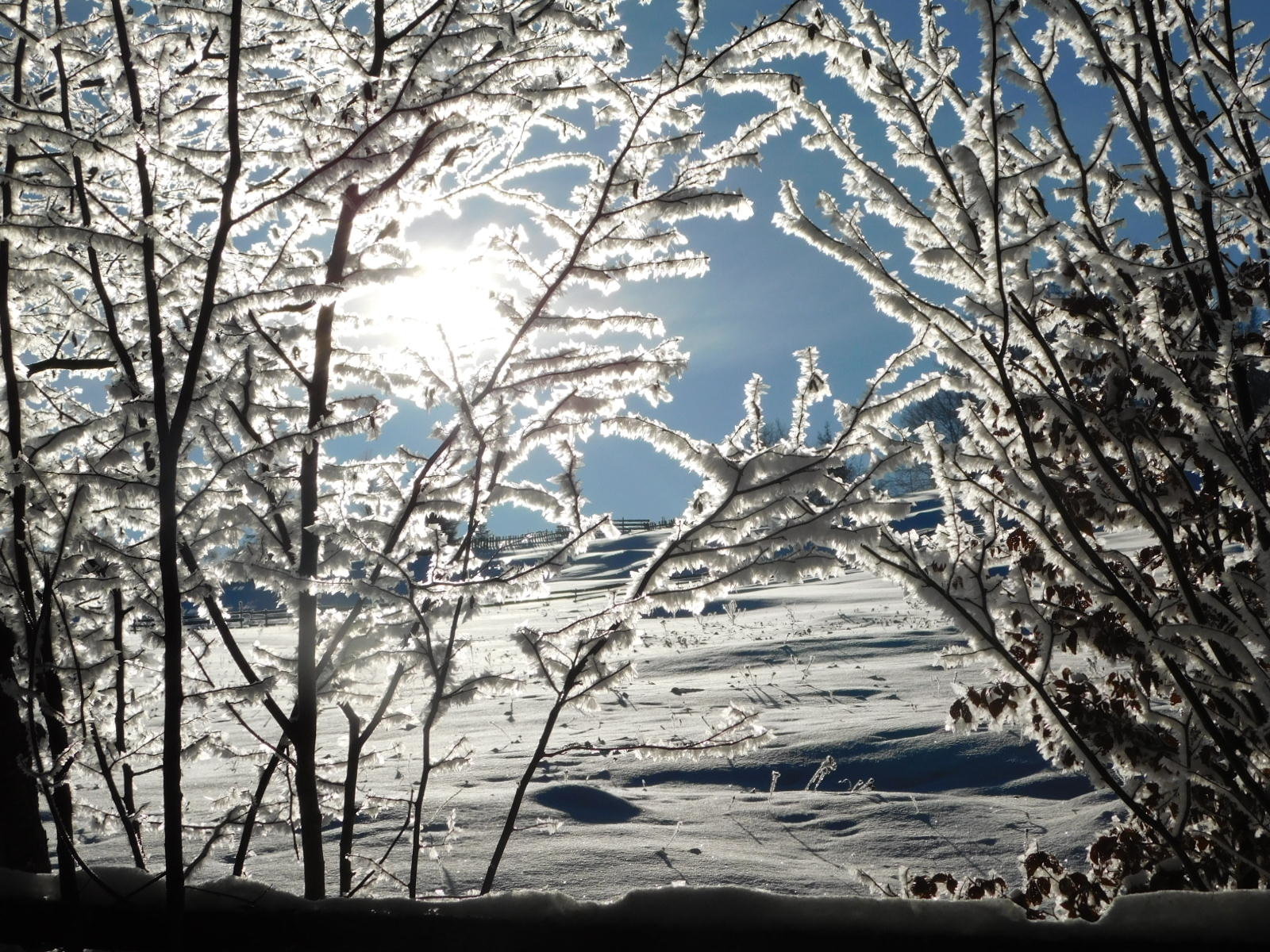 Téli hangulat a Hargitán