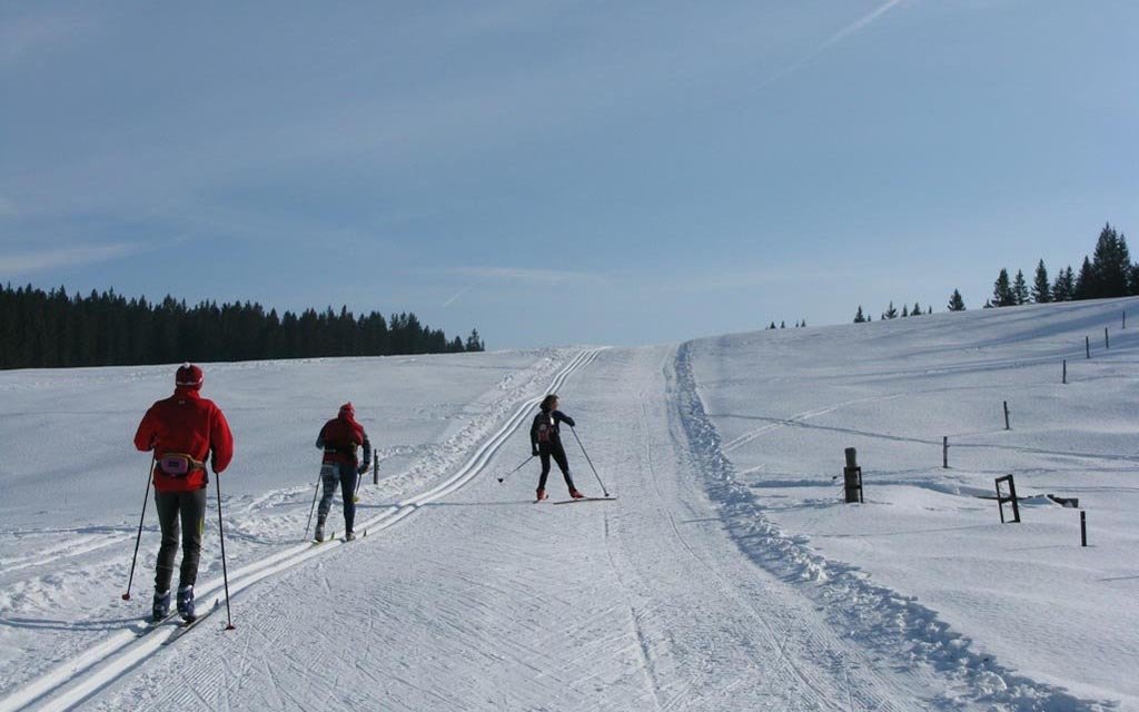 pokljuka1.jpg